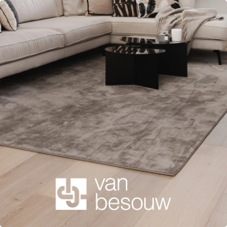 Van besouw